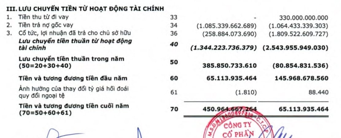 Báo cáo tài chính - LCTT - Tài chính